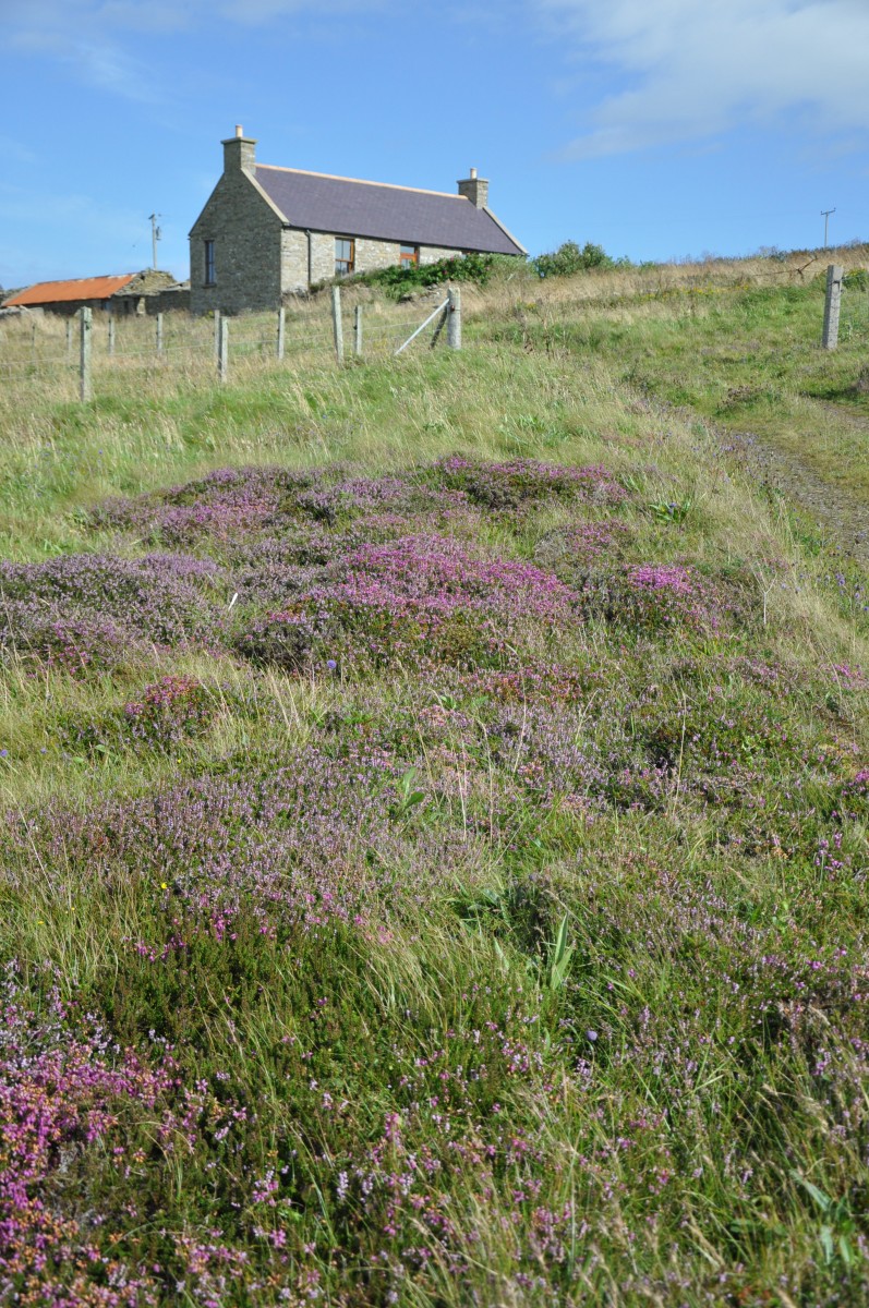 Availability Cooperhouse Orkney